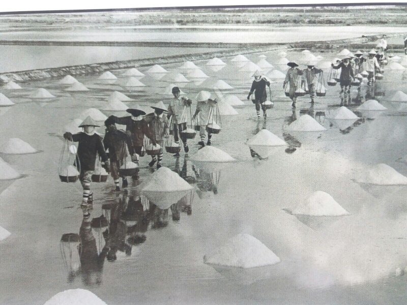 Villagers Working for the Salt Producing Industry Vietnam Vintage Postcard