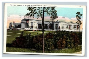 Vintage 1938 Postcard Field Museum Natural History Grant Park Chicago Illinois