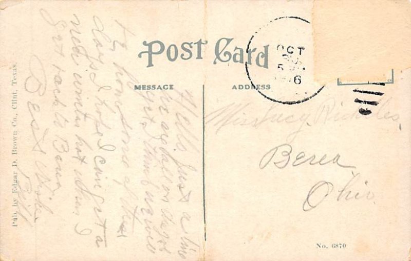 Fine Roads Bartlett Pears - Clint, Texas TX