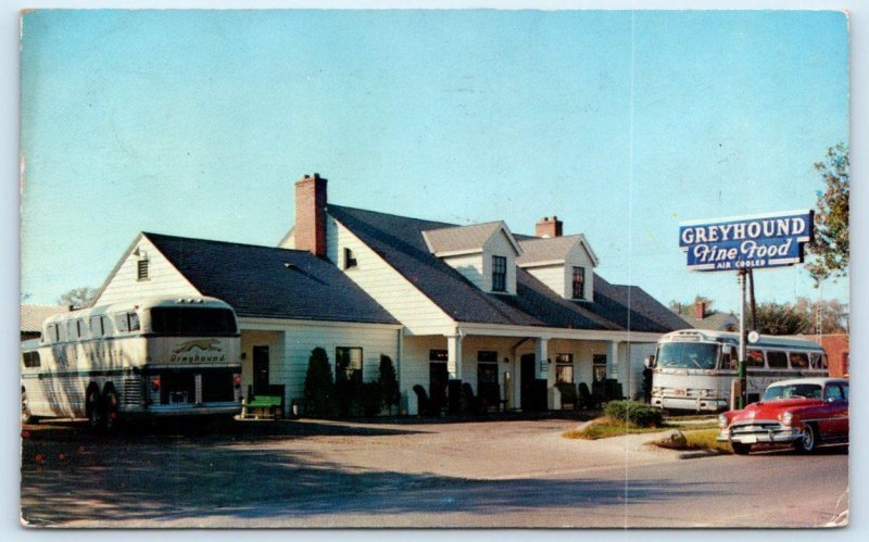 EFFINGHAM, Illinois IL ~ GREYHOUND POST HOUSE & Buses 1955 Roadside Postcard