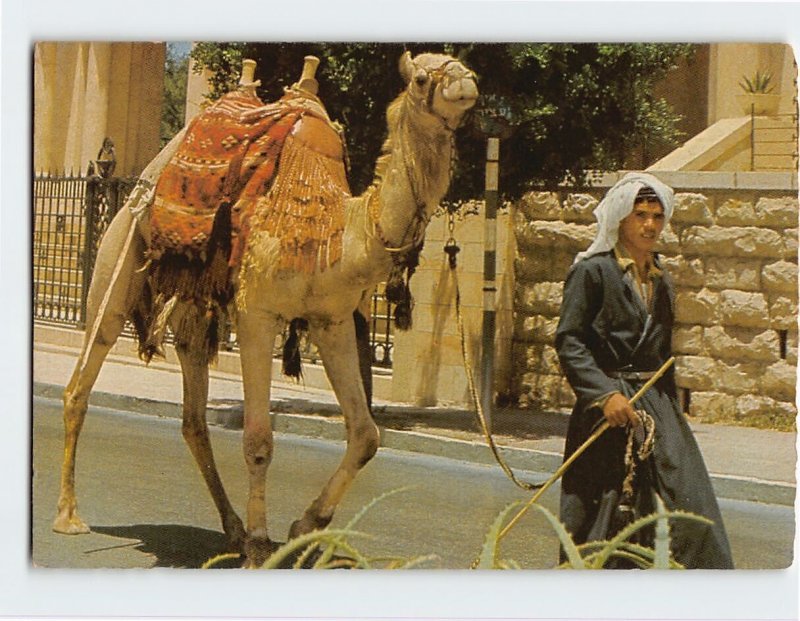 M-129712 Old City Street Scene Jerusalem Israel