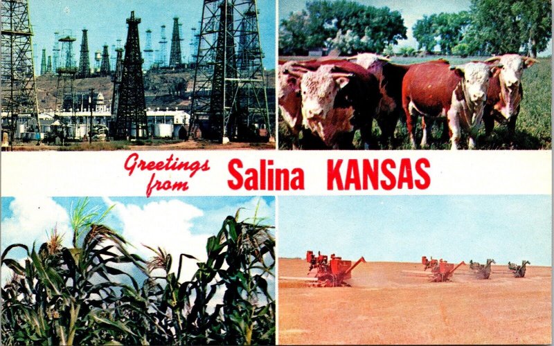 Greetings From Salina Kansas KS Multiview Postcard VTG UNP Plastichrome Vintage 