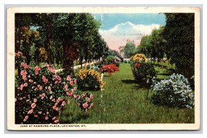 Hamburg Place Gardens in June Lexington Kentucky KY Linen Postcard N25