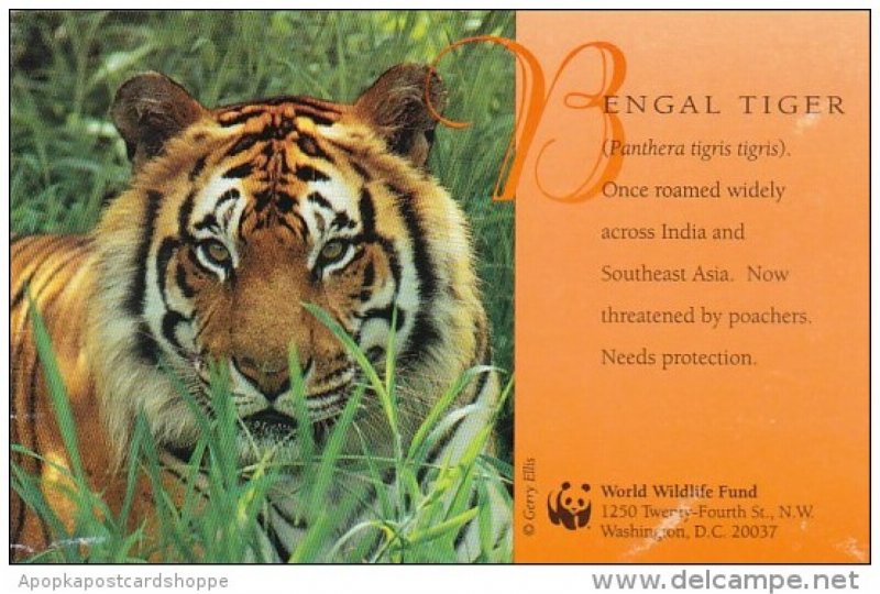 Bengal Tiger World Wildlife Organization