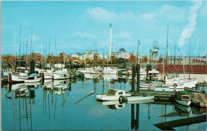 Salmon Fleet Port Alberni BC Vancouver Island Boats Unused Vintage Postcard G64