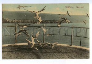 497091 Croatia 1926 Year Opatija Abbazia Seagulls Vintage postcard