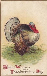 THANKSGIVING, PU-1909; Good Wishes, Wild Turkey