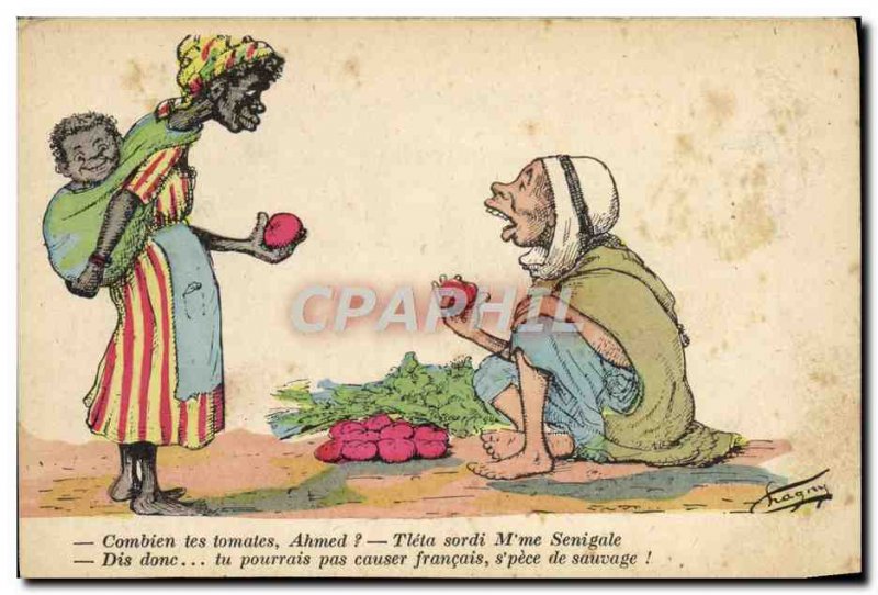 Old Postcard Fantasy Illustrator North Africa Ahmed How your tomatoes