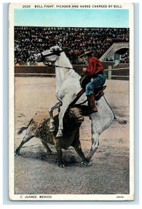 1930 Bull Fight Picador And Horse Charged By Bull C. Suarez Mexico Postcard 