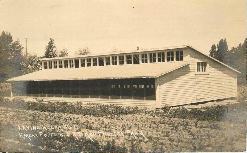 c-1920s Emery Foltz South Carolina 1940s Laying House #1 RPPC real photo  6078