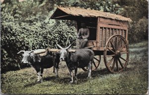 Indonesia Java Een Transportwagen Met Karbouwen Gliding Vintage Postcard C126