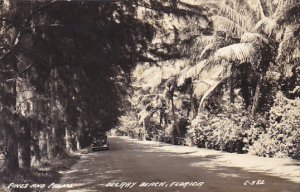 Florida Delray Beach Pine and Palm Lined Street Real Photo