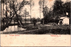 Netherlands Verliefde Bomen Valkenburg Vintage Postcard 09.69