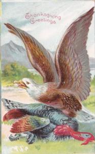 Thanksgiving Turkey and Eagle