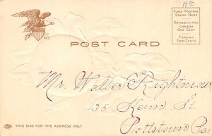 Peaches Fruit Writing on Back 