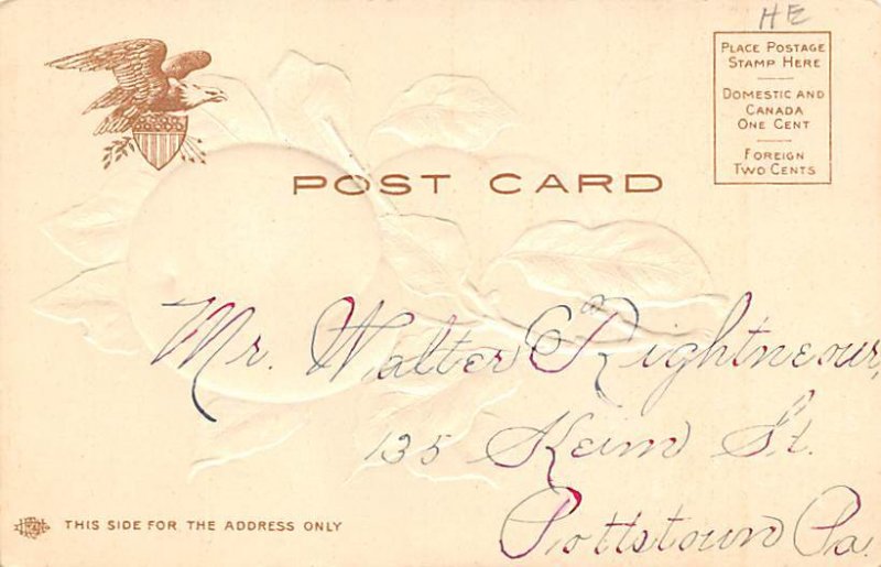 Peaches Fruit Writing on Back 