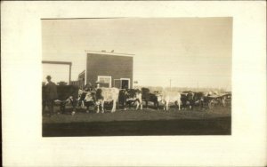 Malta Montana MT Imperial Caf‚ 1914 Used Real Photo Postcard xst