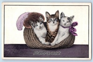 Janesville Michigan MI Postcard Cute Cat Kittens In Hat Animals 1917 Antique
