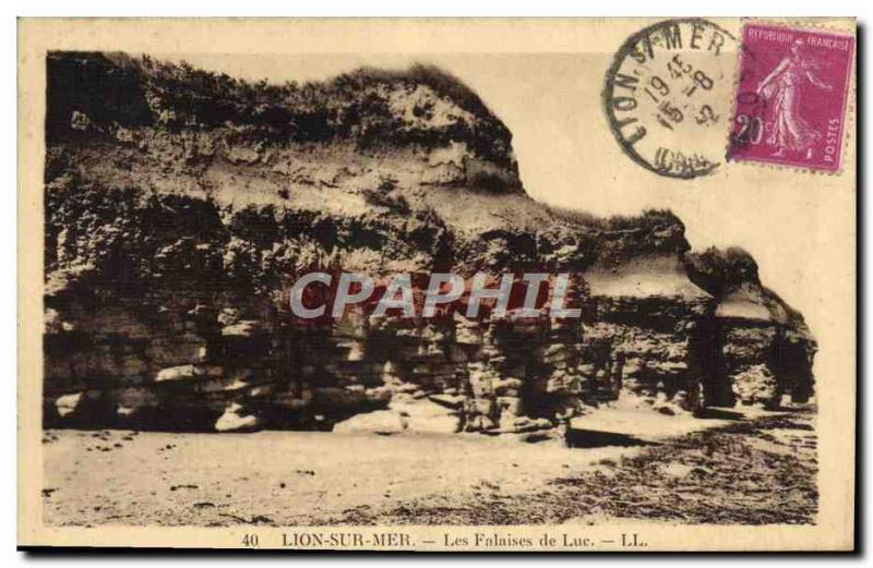 Old Postcard Sea Lion On The Cliffs Of Luke