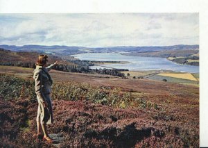 Scotland Postcard - Dornoch Firth - Easter Ross - Ref 1649A