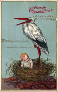 Birth Stork With Baby