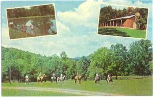 Scenes at Green Valley Farms, Lost River, West Virginia, WV , 1967 Chrome