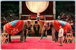 c1975 Russian Elephant Trainers Chrome Photo PC Anatoly & Nina Kornilov A144