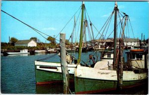 Postcard BOAT SCENE Ocean City Maryland MD AM4982