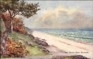 Bermuda - Ethel & CF Tucker View Postcard/Card - Coral Beach