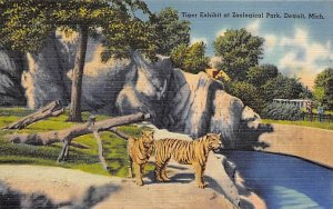 Tiger Exhibit Zoological Park Tigers Unused 