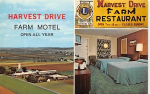 Harvest Drive Farm Motel and Restaurant Gordonville, Pennsylvania PA Postcards