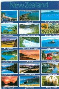 New Zealand Greeting Postcard