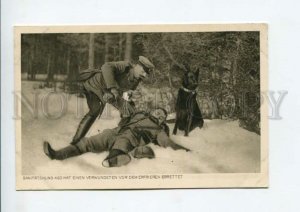 3159661 WWI German Shepherd Dog RED CROSS Medical dog & Wounded