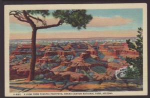 View From Yavapai Footpath,Grand Canyon,AZ Postcard 