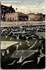 1910's Hamburg Moven Als Wintergaste Auf Der Rister Seagulls Posted Postcard