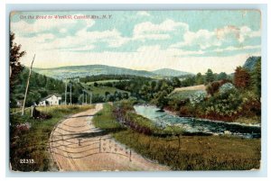 1908 On The Road To Westkill Catskill East Mts Greenbush New York NY Postcard 