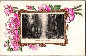 1911 Postcard Timber Forest Near Tacoma, Washington Floral Gilt Border KO10
