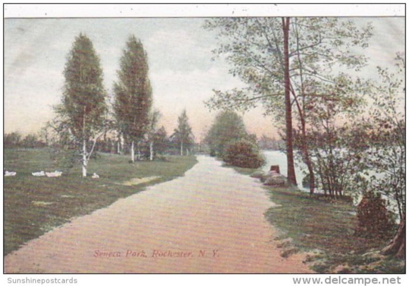 New York Rochester View In Seneca Park