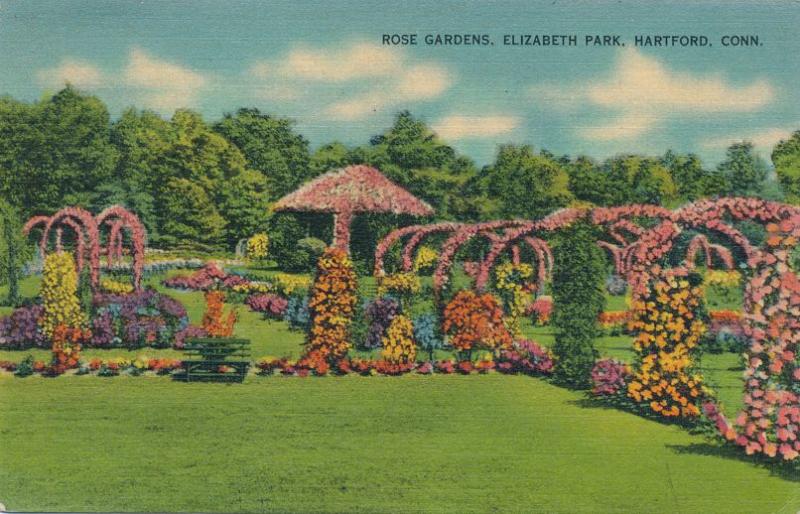 Rose Gardens at Elizabeth Park - Hartford CT, Connecticut - pm 1941 - Linen