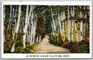 Postcard Cloyne Ontario c1935 Scenic View Birch Trees