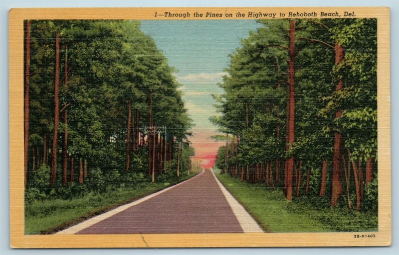 Postcard DE Rehoboth Beach Delaware Through The Pines On The Highway c1950s X5