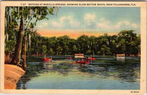 Postcard BOAT SCENE Tallahassee Florida FL AN0245