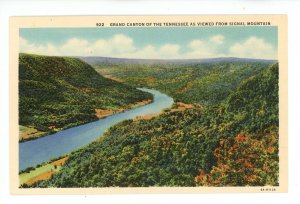 TN - Grand Canyon of the Tennessee River. View from Signal Mountain