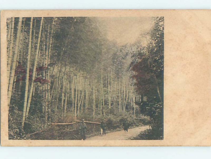 Pre-1907 PATH IN FOREST Country Of China hJ6561