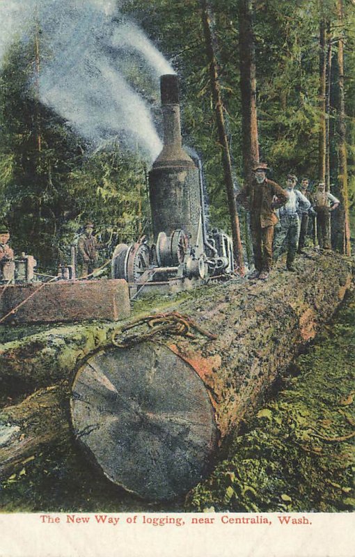 Lumberjacks Donkey Engine Logs Centralia WA c1910 P164