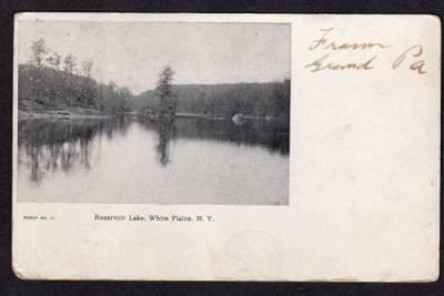 NY RESERVOIR LAKE WHITE PLAINS NEW YORK Postcard 1905