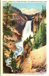 Lower Falls from Red Rock, Yellowstone National Park Postcard