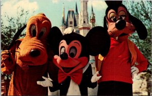 Florida Orland Walt Disney World Mickey Mouse Pluto and Goofy