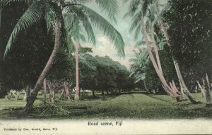 fiji islands, Road Scene (1910s) Gus. Arnold