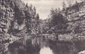 The Pool Ausable Chasm New York Albertype